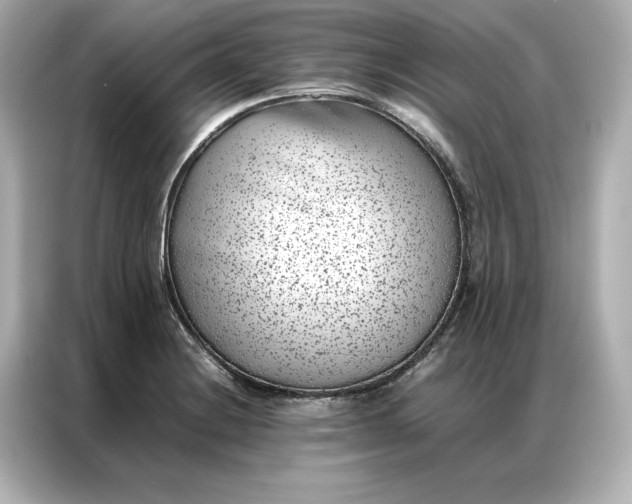 X0000086971228200704301251