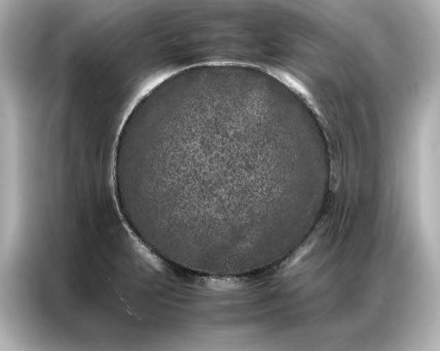 X0000086971231200704301251