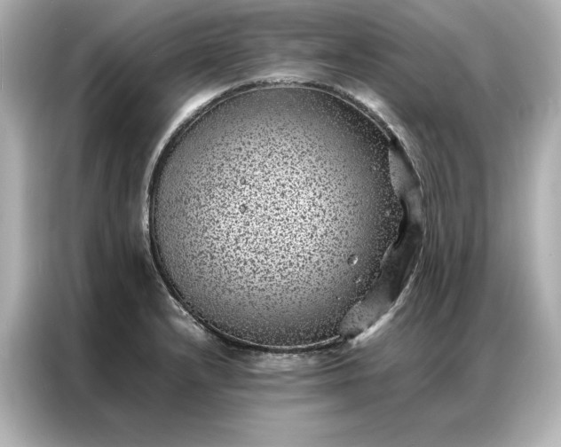 X0000086971232200704301251