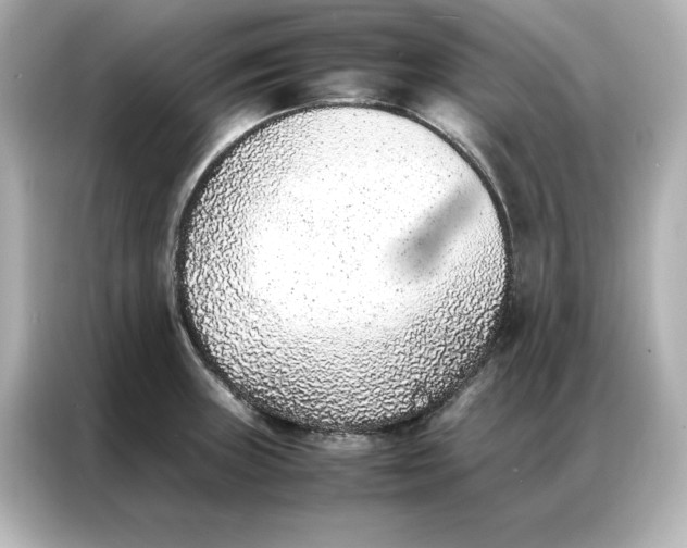 X0000086971235200704301251