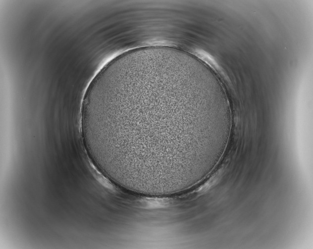 X0000086971236200704301251