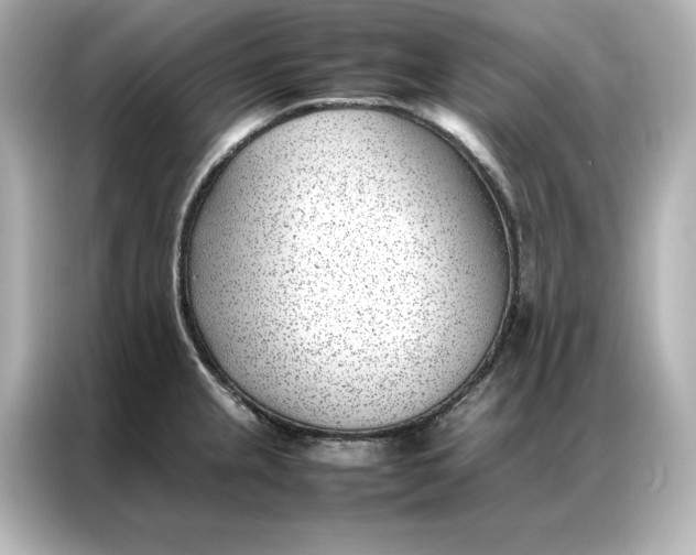 X0000086971237200704301251