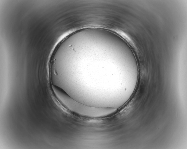 X0000086971238200704301251