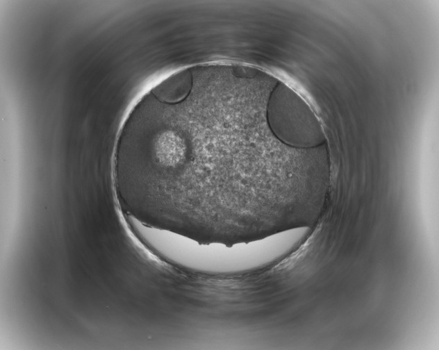 X0000086971239200704301251