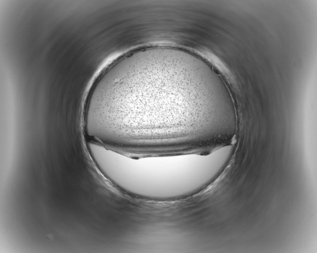 X0000086971240200704301251