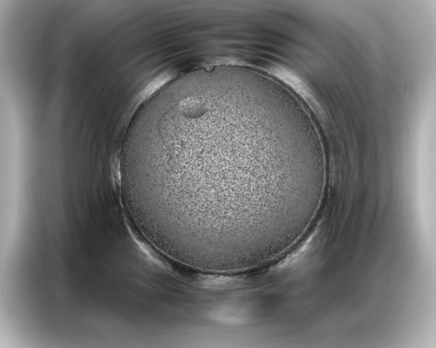 X0000086971241200704301251