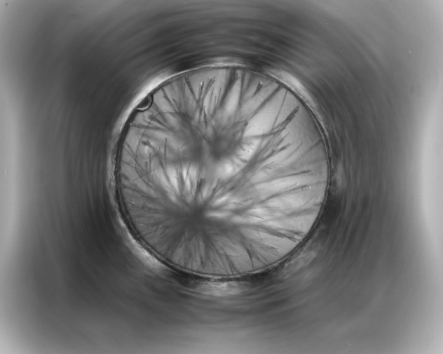 X0000086971243200704301251