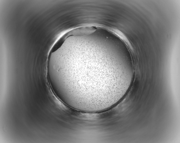 X0000086971244200704301251