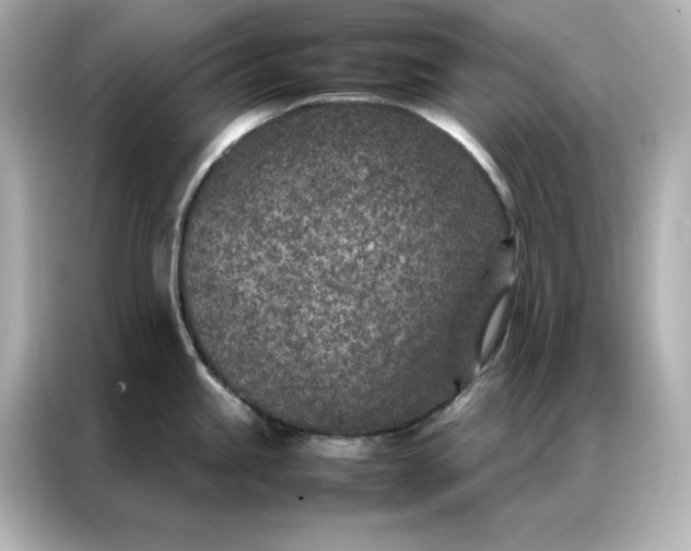 X0000086971245200704301251