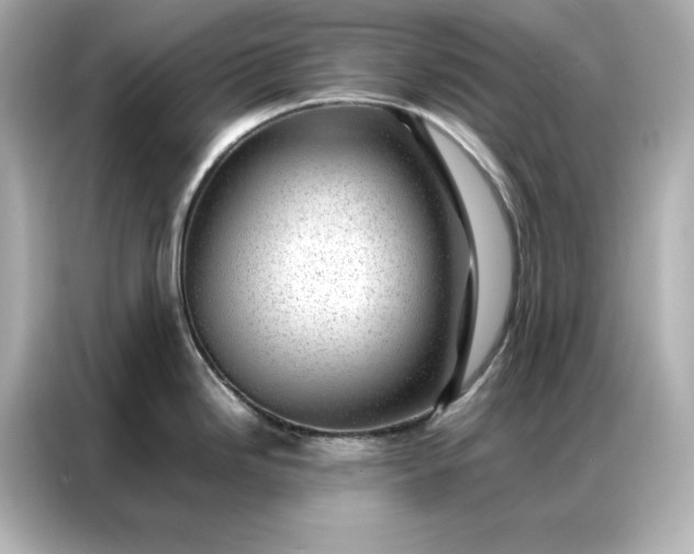 X0000086971246200704301251