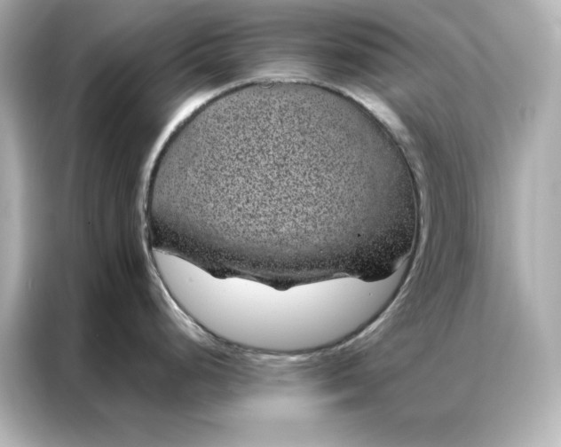 X0000086971248200704301251