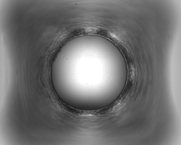 X0000086971249200704301251