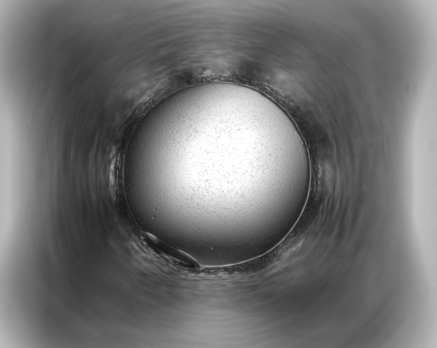 X0000086971250200704301250