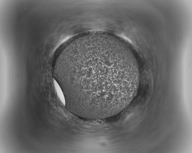 X0000086971255200704301250