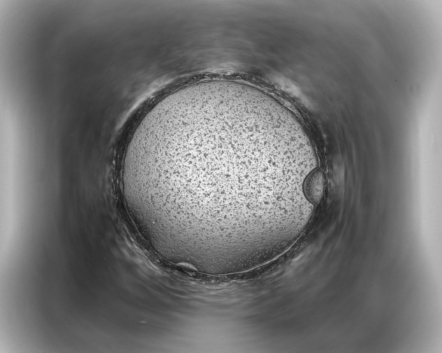 X0000086971256200704301250