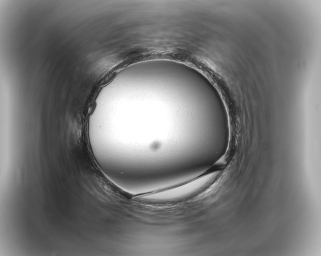 X0000086971257200704301250