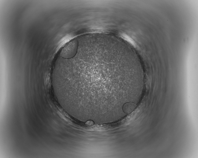 X0000086971259200704301250