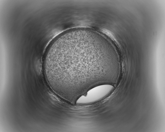 X0000086971260200704301250