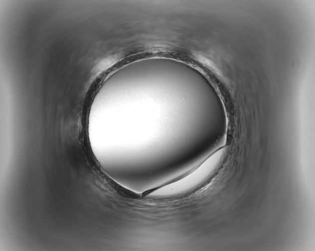 X0000086971261200704301250