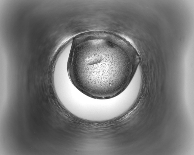 X0000086971263200704301250