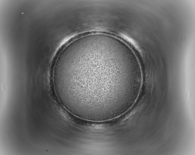 X0000086971264200704301250