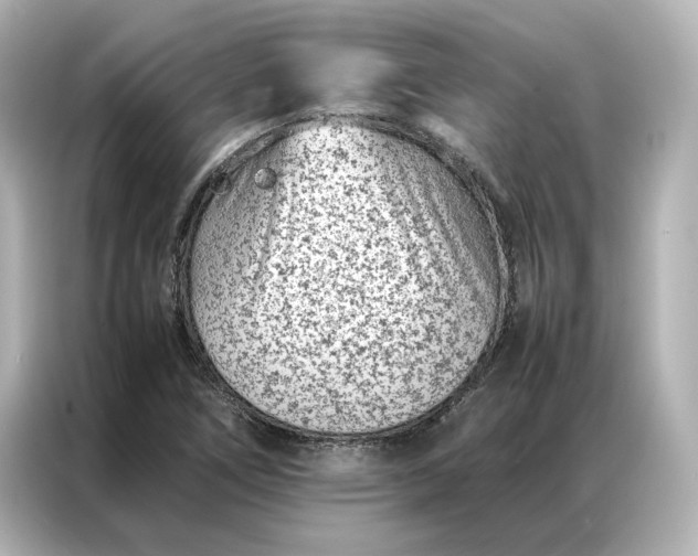 X0000086971266200704301250