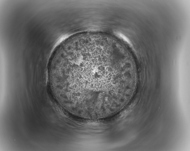 X0000086971267200704301250