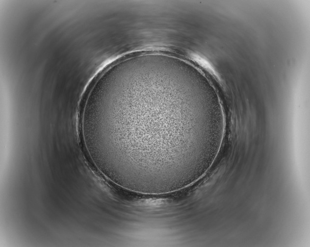 X0000086971268200704301250