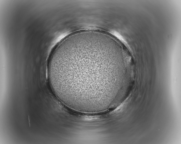 X0000086971269200704301250