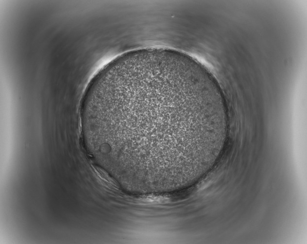 X0000086971271200704301250