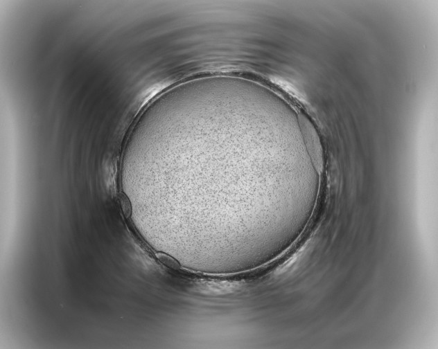 X0000086971273200704301250