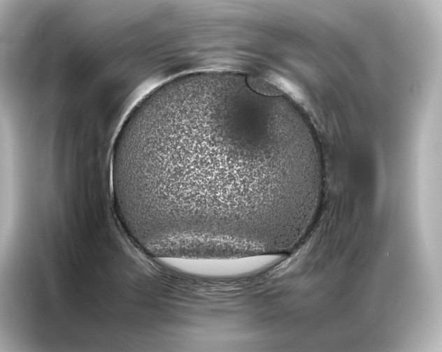 X0000086971275200704301250