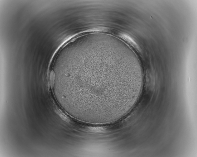 X0000086971276200704301250