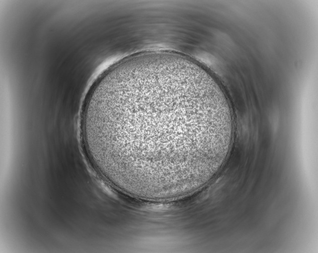 X0000086971278200704301250