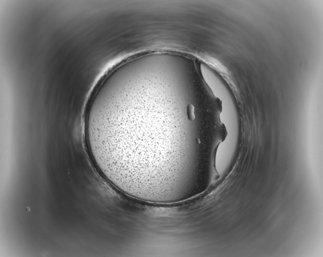 X0000086971280200704301250