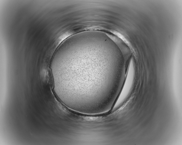 X0000086971281200704301250