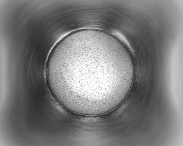 X0000086971284200704301250