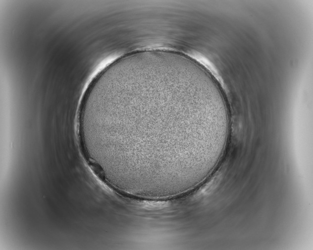 X0000086971285200704301250