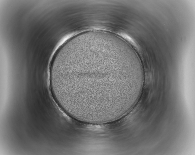 X0000086971286200704301250