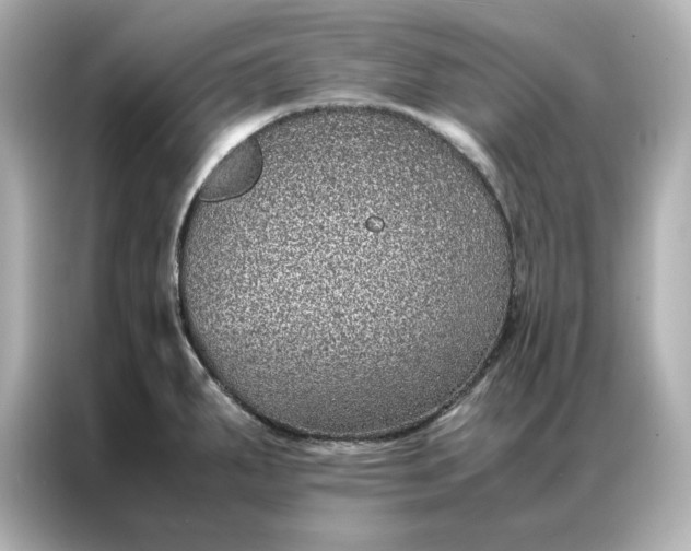 X0000086971287200704301250