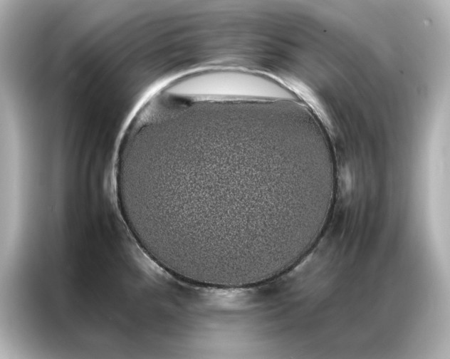 X0000086971288200704301250