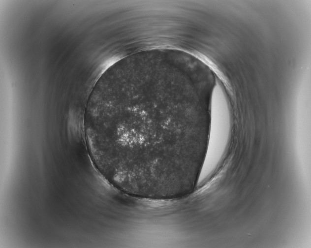 X0000086971289200704301250