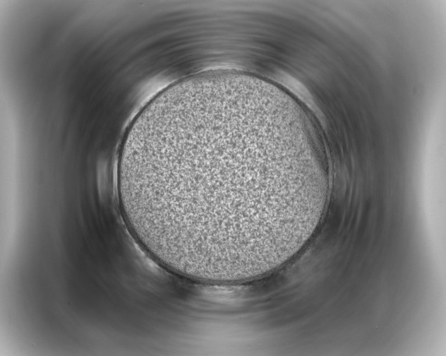 X0000086971290200704301250