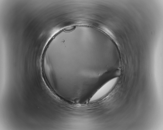 X0000086971291200704301250