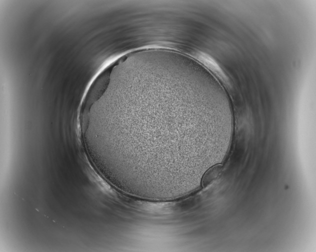 X0000086971292200704301250