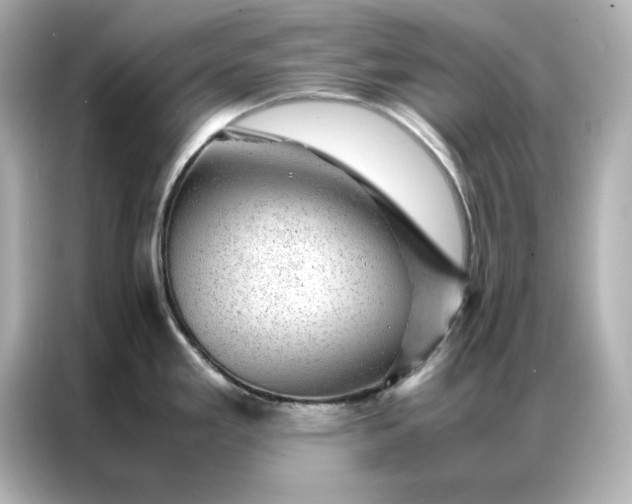 X0000086971293200704301250