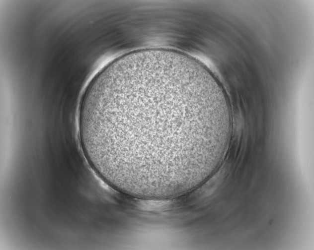 X0000086971294200704301250