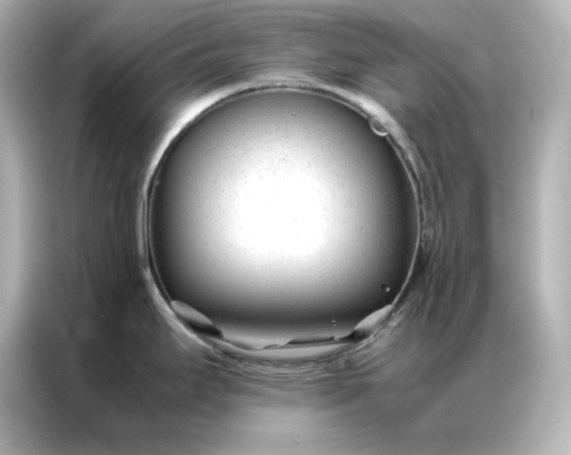 X0000086971295200704301250