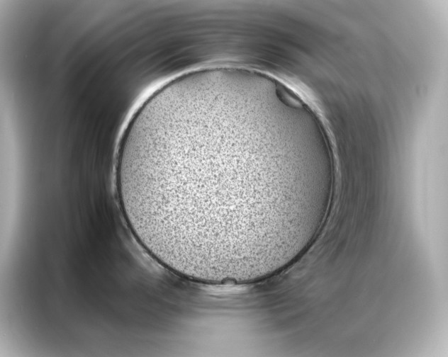 X0000086971296200704301250