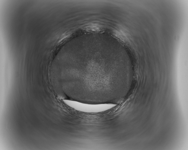 X0000086971297200704301249